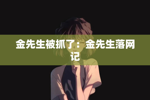 金先生被抓了：金先生落网记