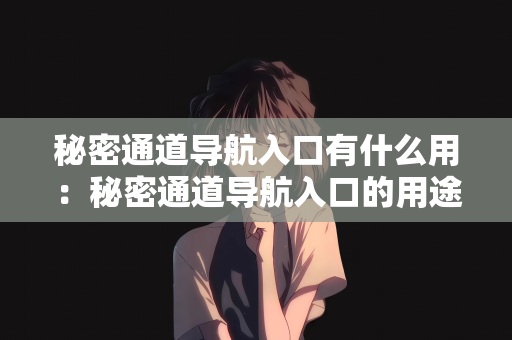 秘密通道导航入口有什么用：秘密通道导航入口的用途及其重要性