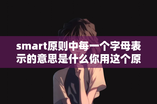 smart原则中每一个字母表示的意思是什么你用这个原则给自己设定出的目标是怎样的：SMART原则下的个人目标设定